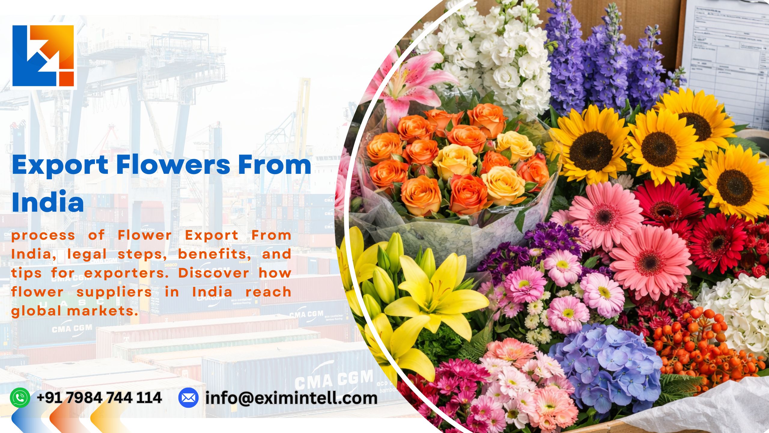 How to Export Flowers From India to Global Market?