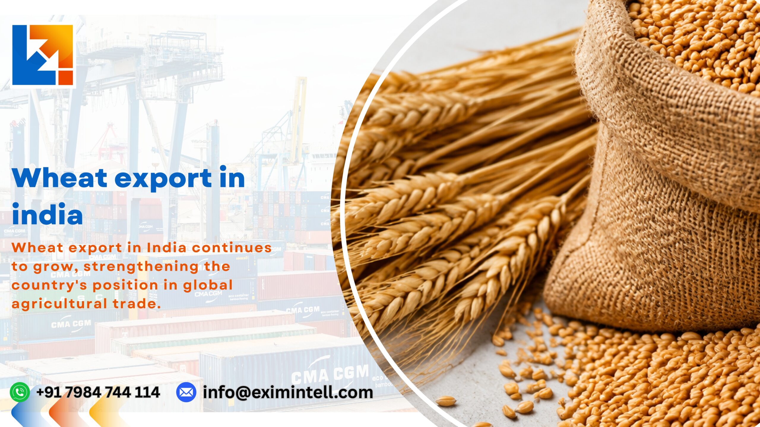 Wheat Export in India : Top Producing States, Prices & Global Markets